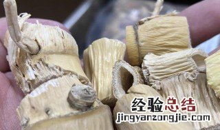 芦根什么时候挖最好 芦根什么季节挖最好