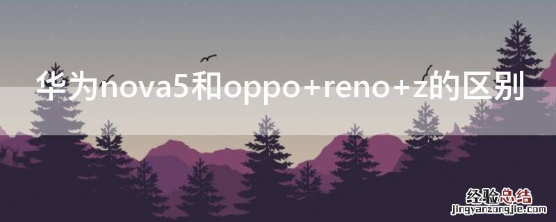 华为nova5和oppo 华为nova5和oppoR17哪个好