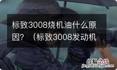 标致3008发动机烧机油应该如何解决? 标致3008烧机油什么原因？