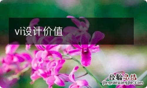 vi设计价值
