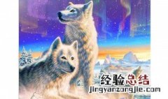 钻石画贴一半怎么存放 钻石画只贴了一半的存放方法