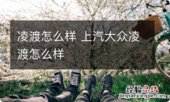 凌渡怎么样 上汽大众凌渡怎么样