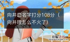 向井理怎么不火了 向井恋名字打分108分