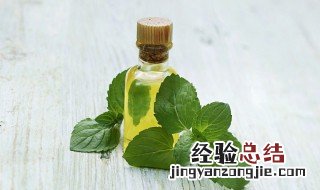 如何提炼薄荷油 薄荷油怎么提炼出来的