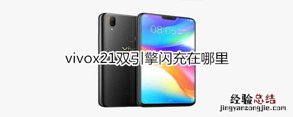 vivox21双引擎闪充在哪里