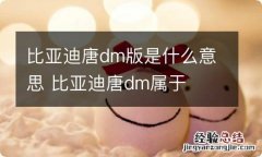 比亚迪唐dm版是什么意思 比亚迪唐dm属于