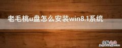 老毛桃u盘怎么安装win8.1系统