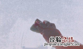 纱窗上的柳絮怎么清理掉 纱窗上的柳絮怎么清理