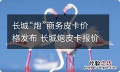 长城“炮”商务皮卡价格发布 长城炮皮卡报价