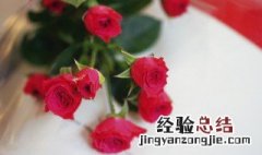 29朵红玫瑰花的花语是什么意思视频 29朵红玫瑰花的花语是什么意思