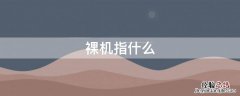 什么叫裸机? 裸机指什么