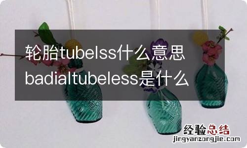 轮胎tubelss什么意思 badialtubeless是什么轮胎