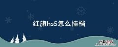 红旗hs5怎么挂档