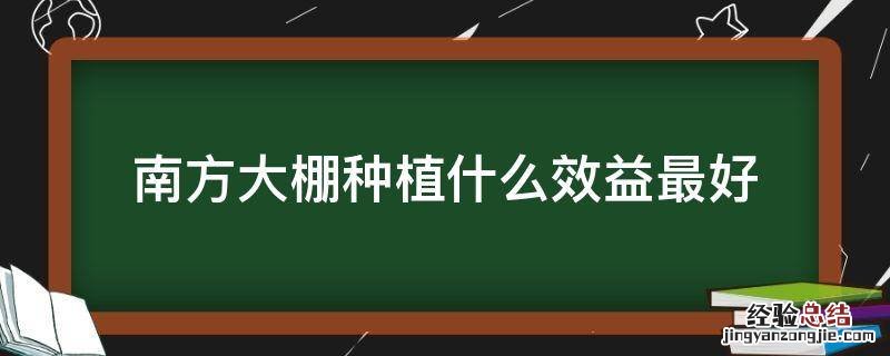 南方大棚种植什么效益最好