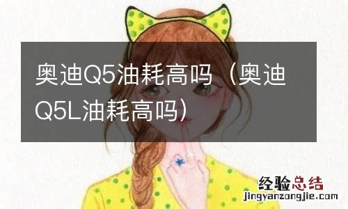 奥迪Q5L油耗高吗 奥迪Q5油耗高吗