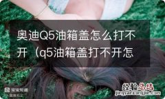 q5油箱盖打不开怎么办 有紧急开关吗 奥迪Q5油箱盖怎么打不开