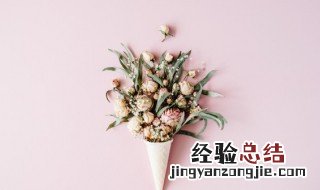 小学生闺蜜暗号 送闺蜜花应该送多少朵