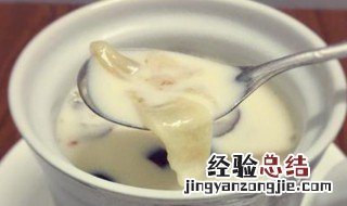 纯牛奶可以直接炖鱼胶吗窍门 纯牛奶可以直接炖鱼胶吗