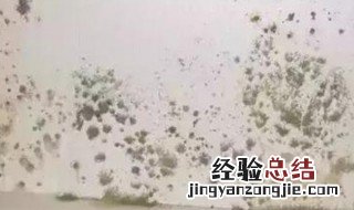 梅雨天家里发霉怎么办 梅雨季节家里发霉怎么办