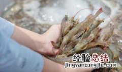 南美白对虾养殖方法 南美白对虾的养殖方法