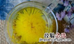 金丝皇菊泡水喝的功效与作用 金丝皇菊泡水喝有什么作用