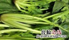 菠菜焯水后冷冻保存 菠菜焯完水冷藏还是冷冻保存