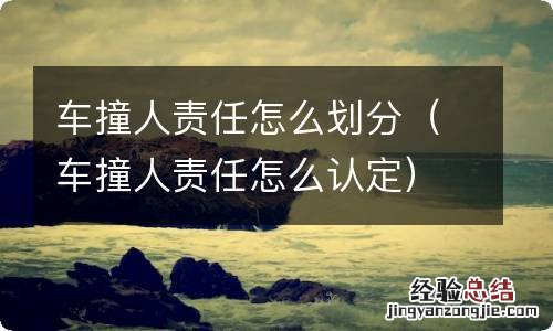 车撞人责任怎么认定 车撞人责任怎么划分