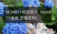 ncm811电池 百度百科 NCM811电池简介