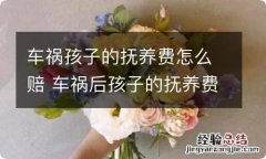 车祸孩子的抚养费怎么赔 车祸后孩子的抚养费