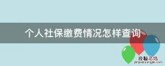 个人社保缴费情况怎样查询