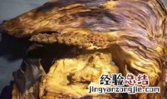 找雷击木的最佳方法 找雷击木的最佳方法介绍