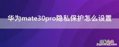 华为mate30pro隐私保护怎么设置