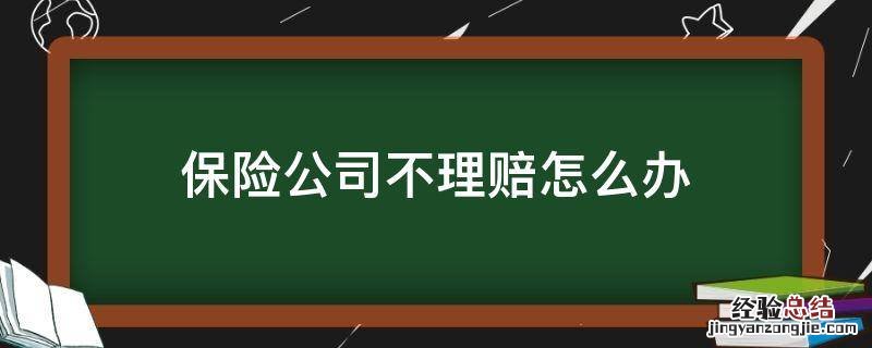 保险公司不理赔怎么办