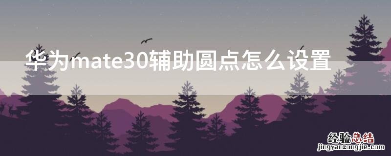 华为mate30辅助圆点怎么设置