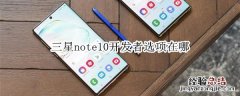 三星note10开发者选项在哪