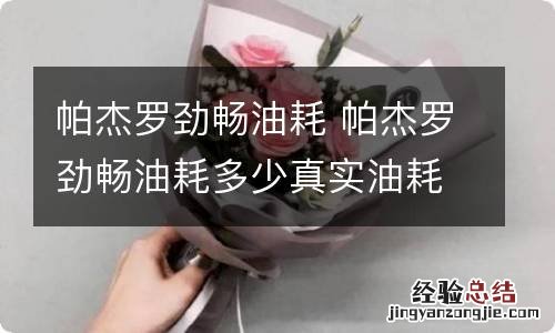 帕杰罗劲畅油耗 帕杰罗劲畅油耗多少真实油耗