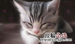 梦见很大的猫是什么意思 有关梦见很大的猫是什么意思