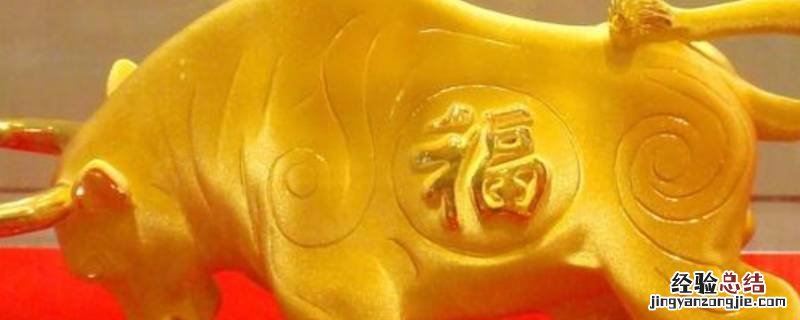 陨石打一生肖