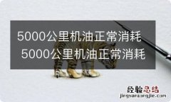 5000公里机油正常消耗 5000公里机油正常消耗多少升