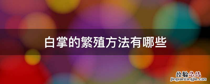 白掌的繁殖方法有哪些