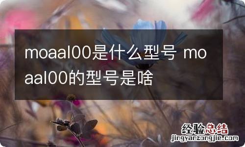 moaal00是什么型号 moaal00的型号是啥