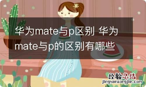 华为mate与p区别 华为mate与p的区别有哪些