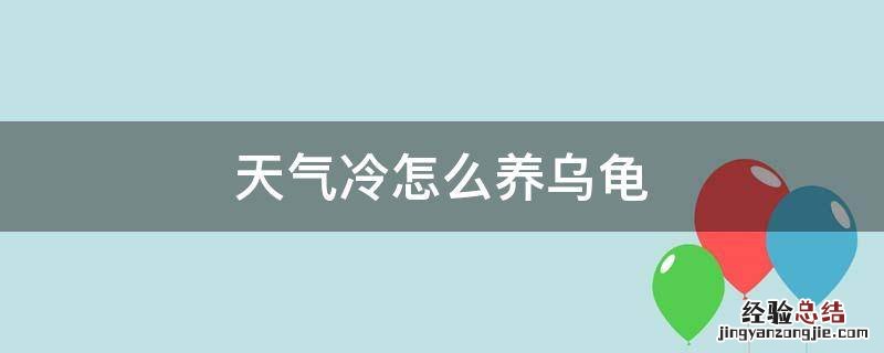 天气冷怎么养乌龟