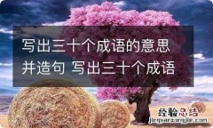 写出三十个成语的意思并造句 写出三十个成语的意思并且造句