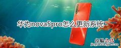 华为nova5pro怎么更新系统