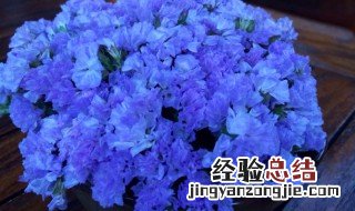什么花的花语是记忆深刻 什么花的花语是记忆