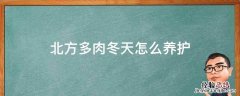 北方多肉冬天怎么养护