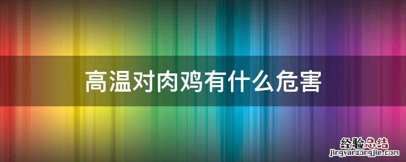 高温对肉鸡有什么危害