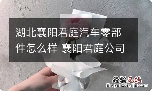 湖北襄阳君庭汽车零部件怎么样 襄阳君庭公司怎么样