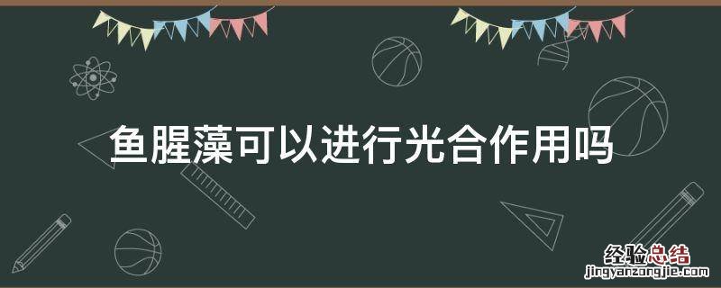 鱼腥藻可以进行光合作用吗